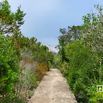 Villa Belocations - Marengo San Teodoro (Sardinia)