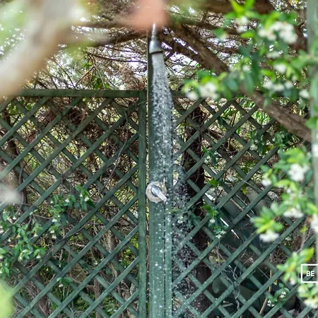 Belocations - Marengo * Сан-Теодоро