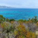 Belocations - Marengo Villa *