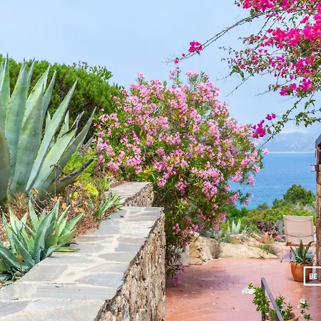 Belocations - Marengo San Teodoro (Sardinia)