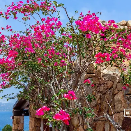 Belocations - Marengo Villa *