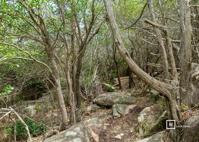 Villa Belocations - Marengo *