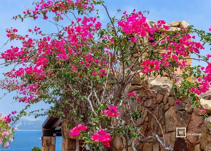 Belocations - Marengo Villa *