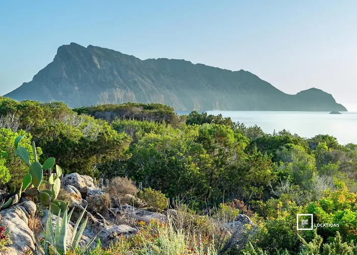 Belocations - Marengo * San Teodoro (Sardinia)